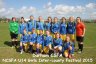 bNCFes14-15a.jpg